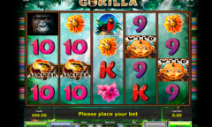 Gorilla